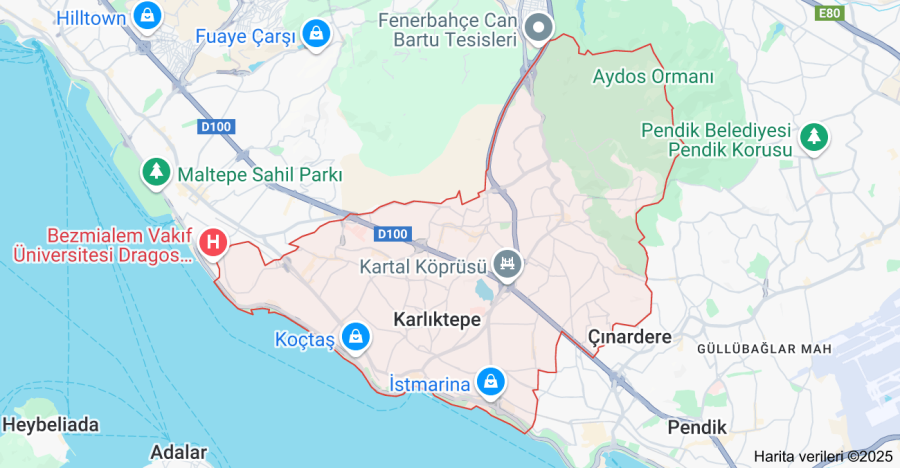 Kartal Iktidarsızlık Tedavisi